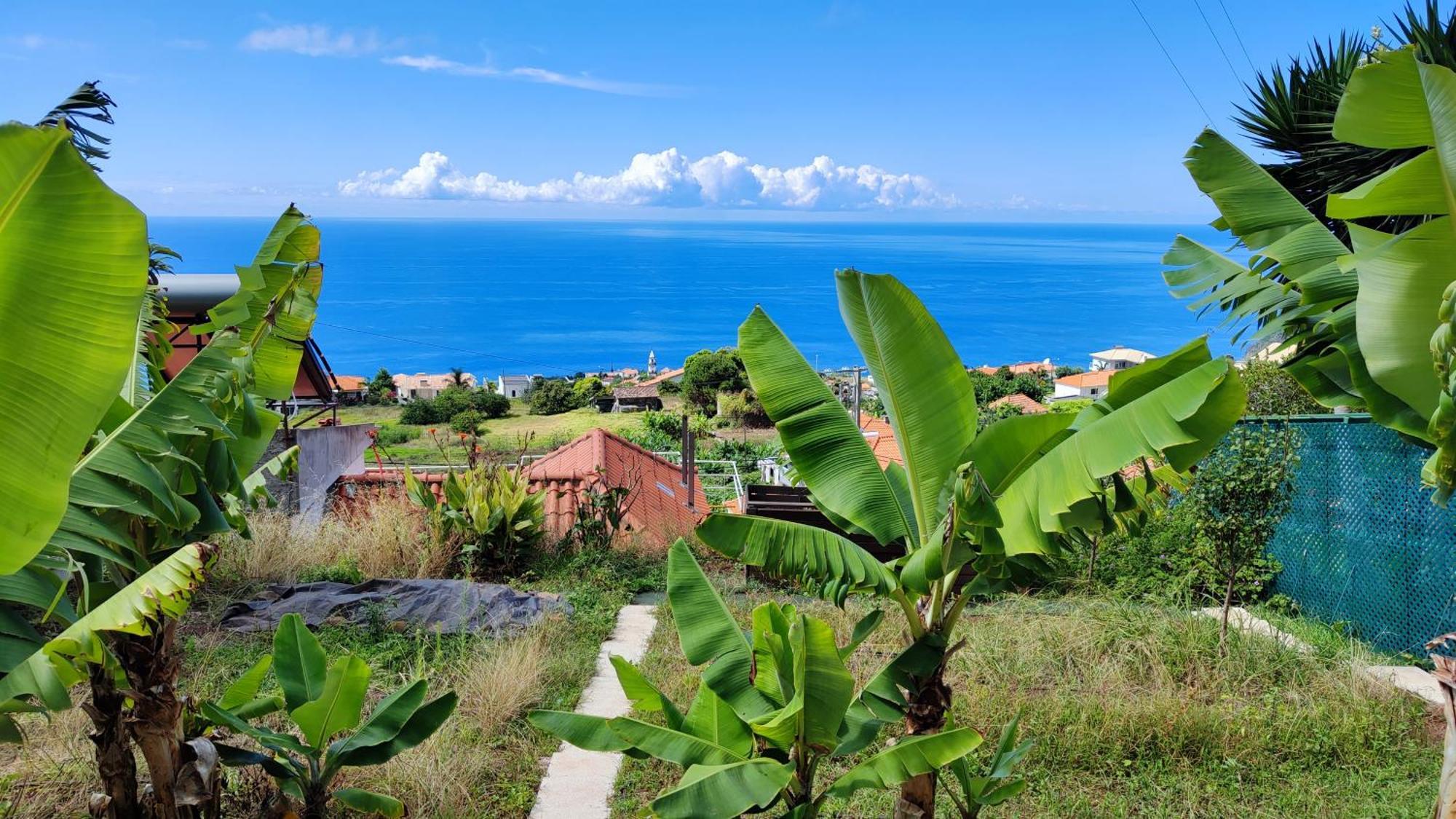 Vista Romantica Madeira Арку-да-Кальета Экстерьер фото