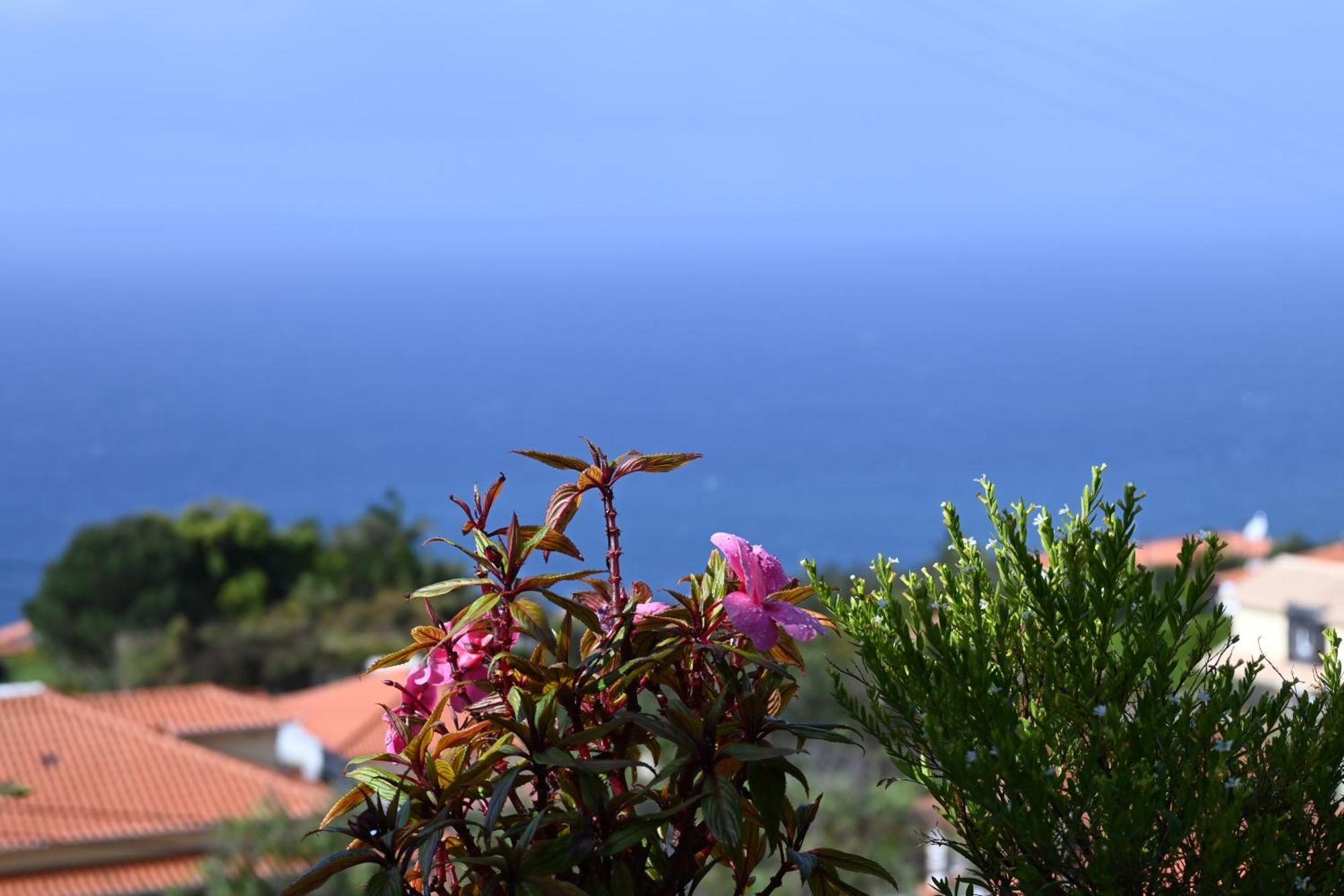 Vista Romantica Madeira Арку-да-Кальета Экстерьер фото